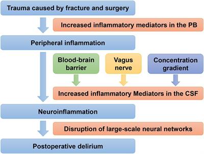 Postoperative delirium in geriatric patients with hip fractures